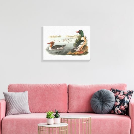 Toile Merganser commun par Audubon (Insitu(Salon))