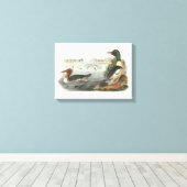 Toile Merganser commun par Audubon (Insitu (Plancher de Bois))