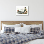 Toile Merganser commun par Audubon (Insitu(Chambre))