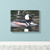 Toile Merganser Merganser Baigné Par (Insitu (Plancher de Bois))
