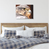 TOILE MERLIN FALCON OISEAU DE PREY (Insitu(Chambre))