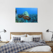 Toile Mérou géant de l'Atlantique (Insitu(Chambre))