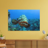 Toile Mérou géant de l'Atlantique (Insitu(Salon))