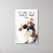 Toile Mes lunettes de soleil de Shih Tzu sont plus cool (Recto)