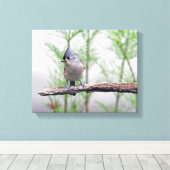 Toile Mésange à tête noire (Insitu (Plancher de Bois))