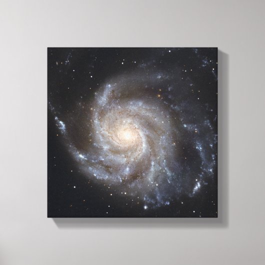 Toile Messier 101, la galaxie Pinwheel (Recto)
