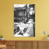 Toile MEXICO, D.F., Mexico, COYOACAN : Banc à (Insitu(Salon))