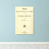 Toile Mexique 5 (Insitu (Plancher de Bois))