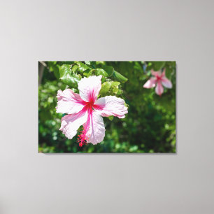 Toile Miami Hibiscus Rose Tropical Fleur Bloom 