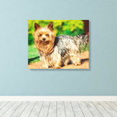 Toile Mignon (Insitu (Plancher de Bois))