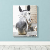 Toile Mignonne Gros plan d'un cheval (Insitu (Plancher de Bois))