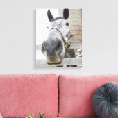 Toile Mignonne Gros plan d'un cheval (Insitu(Salon))