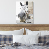 Toile Mignonne Gros plan d'un cheval (Insitu(Chambre))