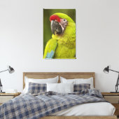 Toile Militaire Macaw (Insitu(Chambre))