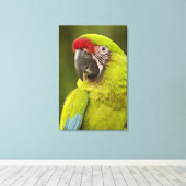 Toile Militaire Macaw (Insitu (Plancher de Bois))