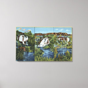 Toile Mille ressorts, identification - genévrier, aile,