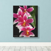 Toile Miltonioda Sakura (Insitu (Plancher de Bois))