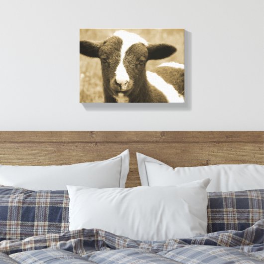 Toile Mince agneau (Insitu(Chambre))