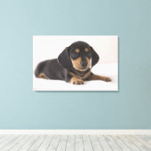 Toile Miniature Dachshund (Insitu (Plancher de Bois))
