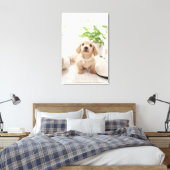 Toile Miniature Dachshund (Insitu(Chambre))