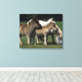 Toile Miniature Mare & Foies 3 (Insitu (Plancher de Bois))