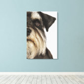 Toile Miniature Schnauzer, studio photo, gros plan (Insitu (Plancher de Bois))