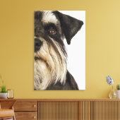 Toile Miniature Schnauzer, studio photo, gros plan (Insitu(Salon))