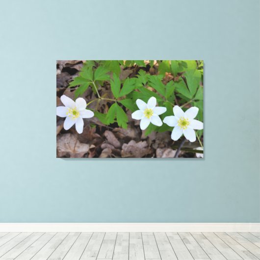 Toile minuscule fleurs blanches (Insitu (Plancher de Bois))