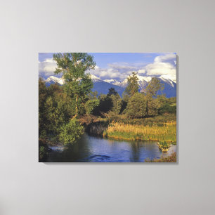 Toile Mission Creek traverse le National Bison