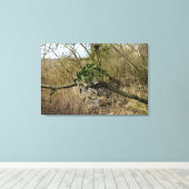 Toile Mistletoe (Insitu (Plancher de Bois))