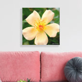 Toile Mme Oakley Fisher Rose (Insitu(Salon))