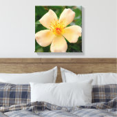 Toile Mme Oakley Fisher Rose (Insitu(Chambre))