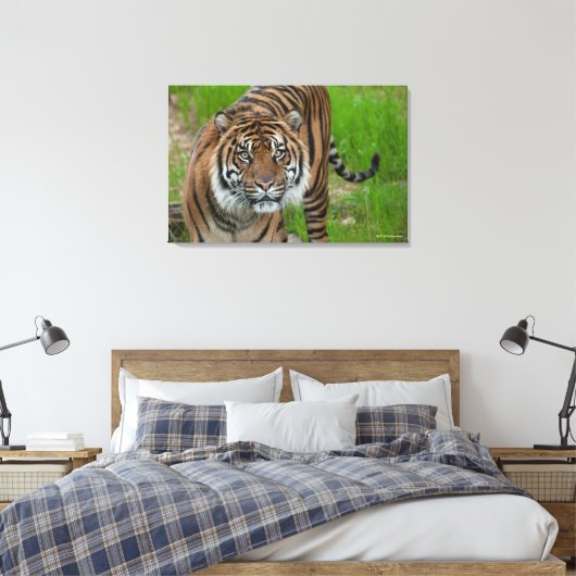 Toile modèle (Insitu(Chambre))