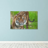 Toile modèle (Insitu (Plancher de Bois))