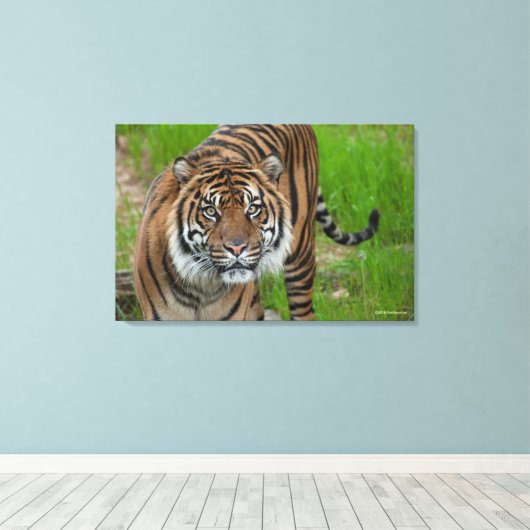 Toile modèle (Insitu (Plancher de Bois))