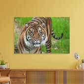 Toile modèle (Insitu(Salon))