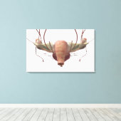 Toile Modèle 3d du système reproducteur féminin (Insitu (Plancher de Bois))