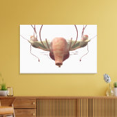 Toile Modèle 3d du système reproducteur féminin (Insitu(Salon))