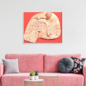 Toile Modèle du foie d'un mouton (Insitu(Salon))