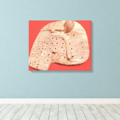 Toile Modèle du foie d'un mouton (Insitu (Plancher de Bois))