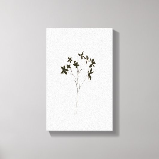 Toile Modern minimalist elegant line drawing flowers (Recto)