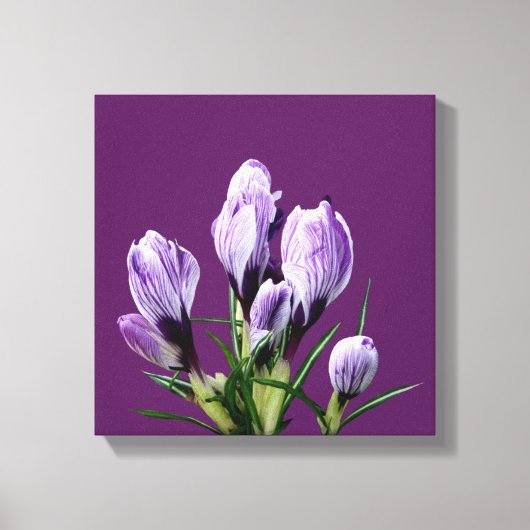 Toile Moderne crocus violet floral tendance numérique de (Recto)