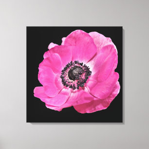 Toile Moderne Floral Vibrant Rose Clair Poppy Noir