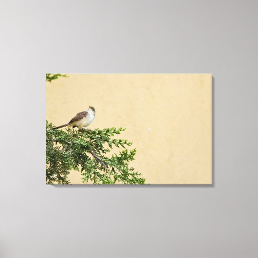 Toile Moineau (Recto)