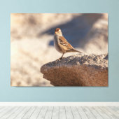 Toile Moineau friquet sur le rocher (Insitu (Plancher de Bois))
