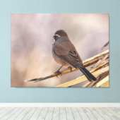 Toile Moineau sur une branche mince  (Insitu (Plancher de Bois))