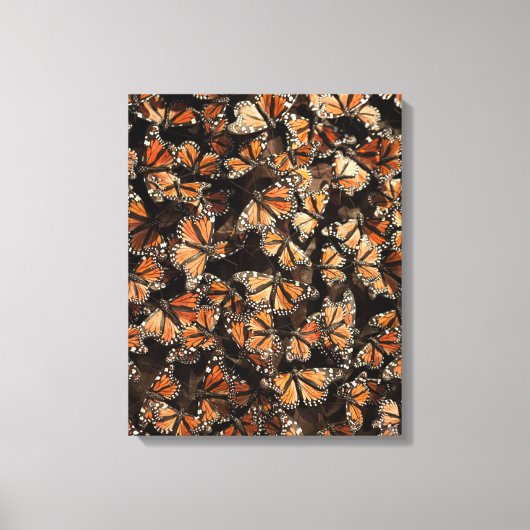 Toile Monarque Butterflies (Recto)