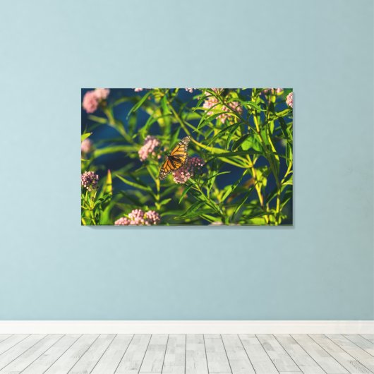 Toile Monarque Et Milkweed (Insitu (Plancher de Bois))