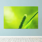 Toile Monde vert (Insitu (Plancher de Bois))