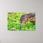 Toile Moniteur Lizard (Recto)